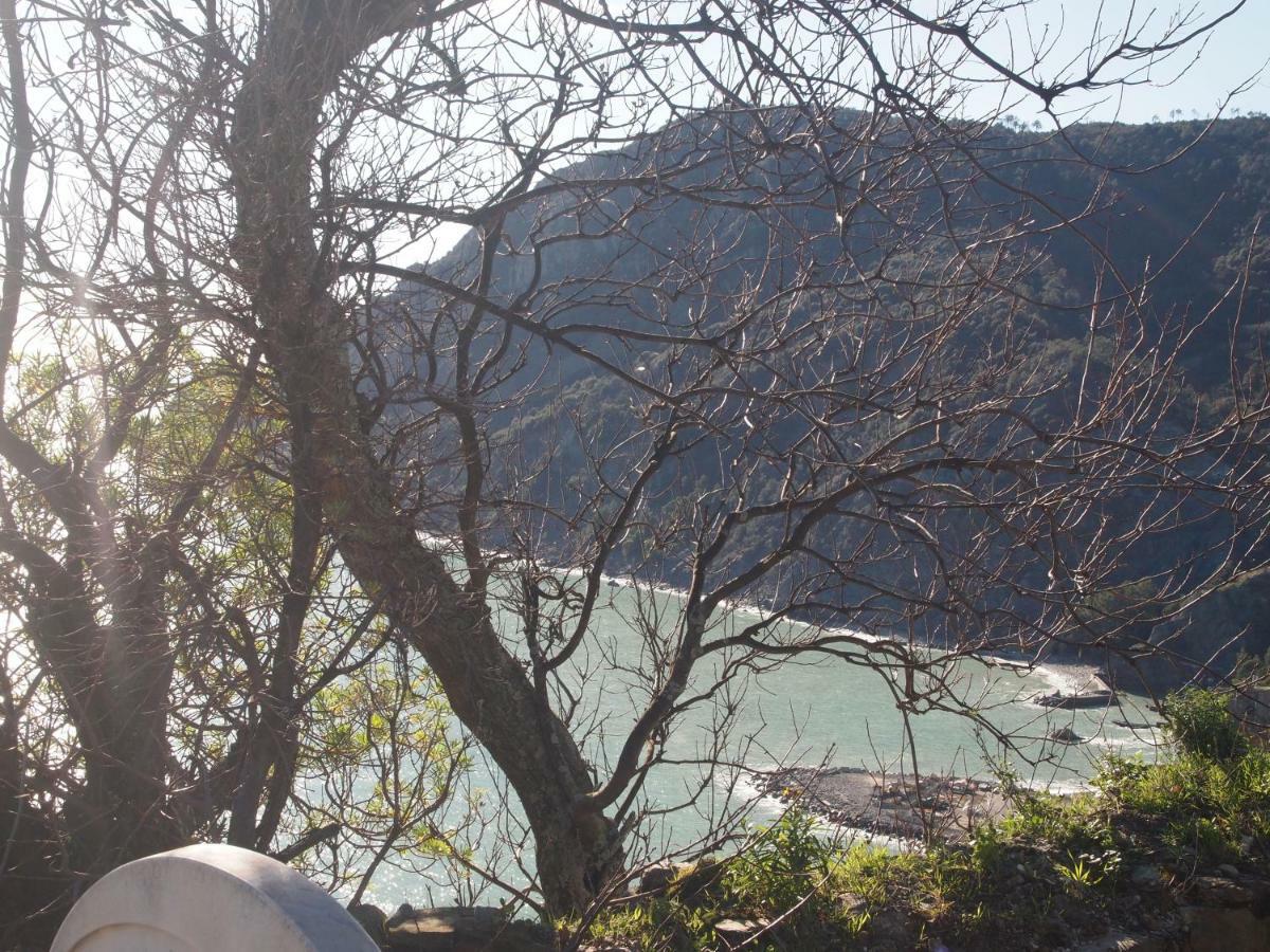Da Benedetta Hotell Monterosso al Mare Exteriör bild