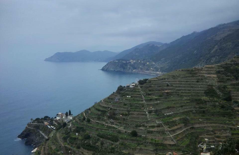 Da Benedetta Hotell Monterosso al Mare Exteriör bild